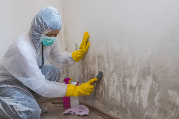 Mold Remediation for Vacation Homes in Serenada, TX