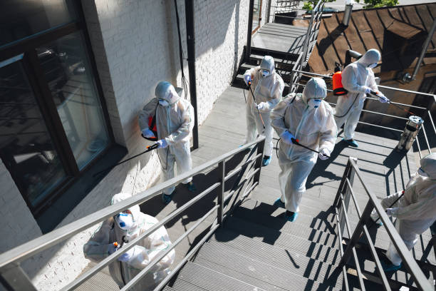 Best Commercial Mold Inspection  in Serenada, TX