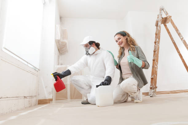 Best Mold Documentation for Insurance Claims  in Serenada, TX