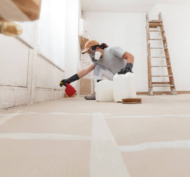 Reliable Serenada, TX Mold Removal Solutions